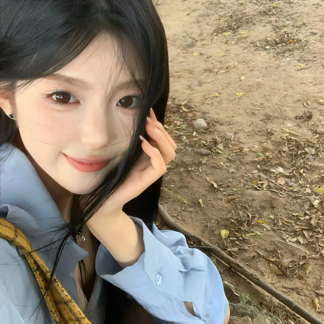终结杉计划